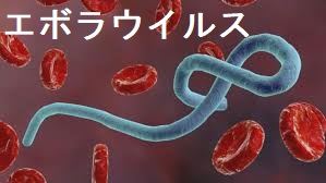 エボラウイルス エボラウイルス