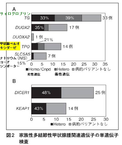 家族性腺腫様甲状腺腫(家族性多結節性甲状腺腫)の遺伝子 家族性腺腫様甲状腺腫(家族性多結節性甲状腺腫)の遺伝子