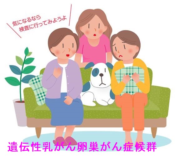 遺伝性乳癌卵巣癌症候群(HBOC) 遺伝性乳癌卵巣癌症候群(HBOC)