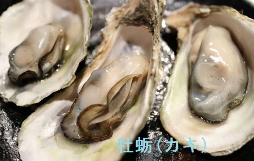 甲状腺の天敵、牡蛎(カキ) 甲状腺の天敵、牡蛎(カキ)