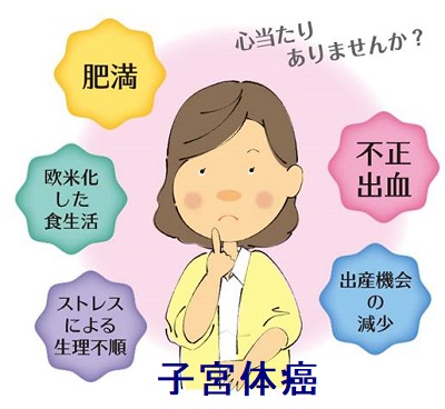 子宮体癌 子宮体癌