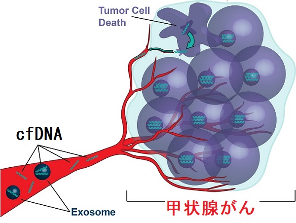 cfDNA cfDNA
