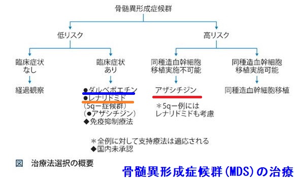 骨髄異形成症候群(MDS)の治療 骨髄異形成症候群(MDS)の治療