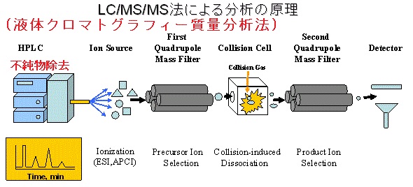 液体クロマトグラフィー質量分析法 液体クロマトグラフィー質量分析法