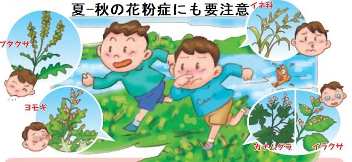夏-秋の花粉症にも要注意 夏-秋の花粉症にも要注意