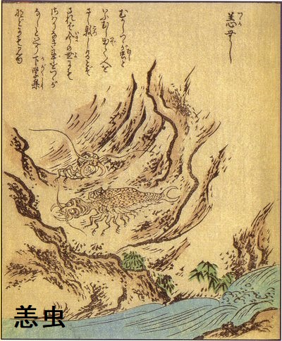 妖怪と考えられていたツツガムシ(恙虫) 妖怪と考えられていたツツガムシ(恙虫)