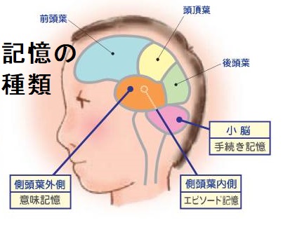 記憶の種類 記憶の種類