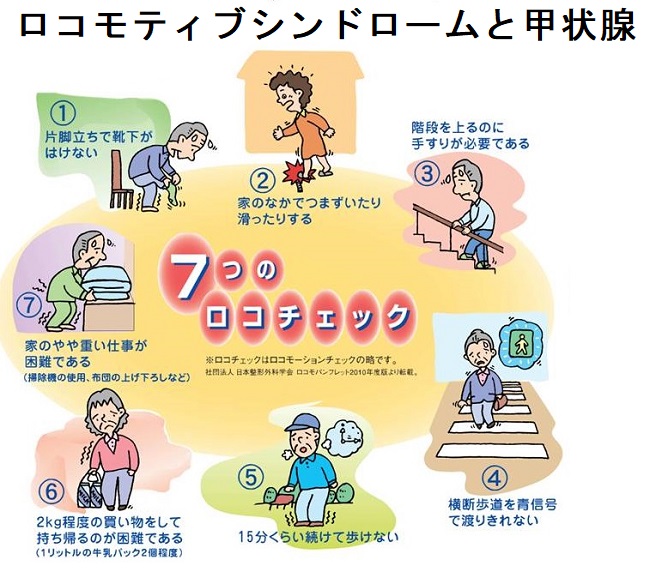 ロコモティブシンドロームと甲状腺 ロコモティブシンドロームと甲状腺