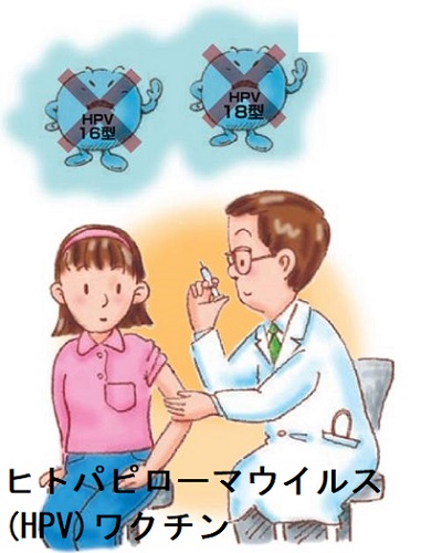 子宮頸がん予防(HPV;ヒトパピローマウイルス)ワクチン 子宮頸がん予防(HPV;ヒトパピローマウイルス)ワクチン