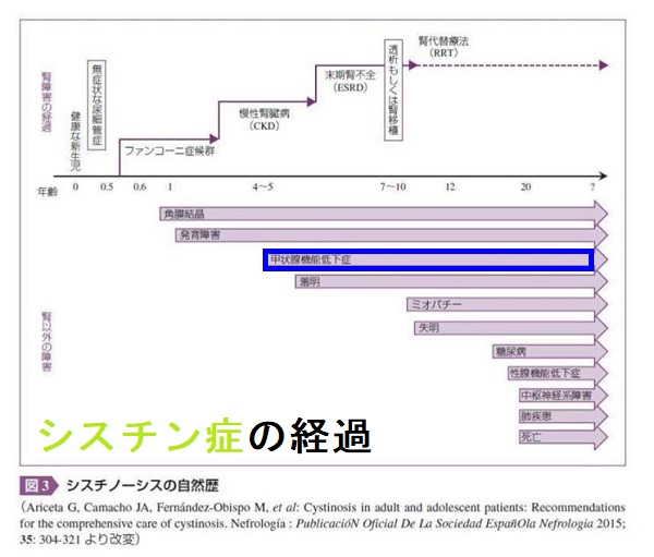 シスチン症の自然経過 シスチン症の自然経過