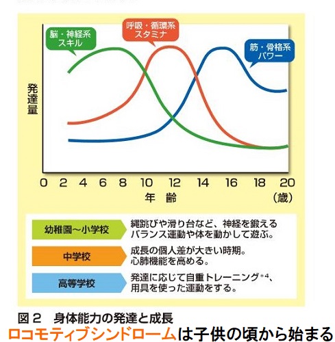 ロコモティブシンドロームは子供の頃から始まる 2 ロコモティブシンドロームは子供の頃から始まる 2