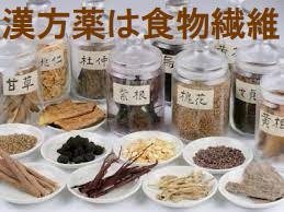 漢方薬は食物繊維 漢方薬は食物繊維