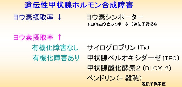 遺伝性甲状腺ホルモン合成障害の病型診断 遺伝性甲状腺ホルモン合成障害の病型診断