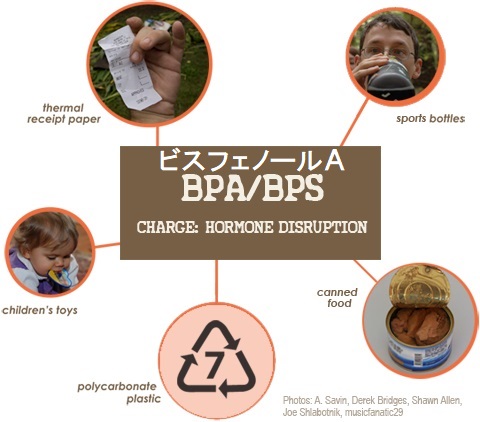 環境ホルモン ビスフェノールA 環境ホルモン ビスフェノールA