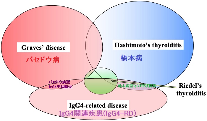 バセドウ病型IgG4甲状腺炎 バセドウ病型IgG4甲状腺炎