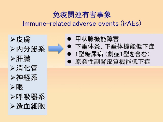 内分泌系irAE 内分泌系irAE