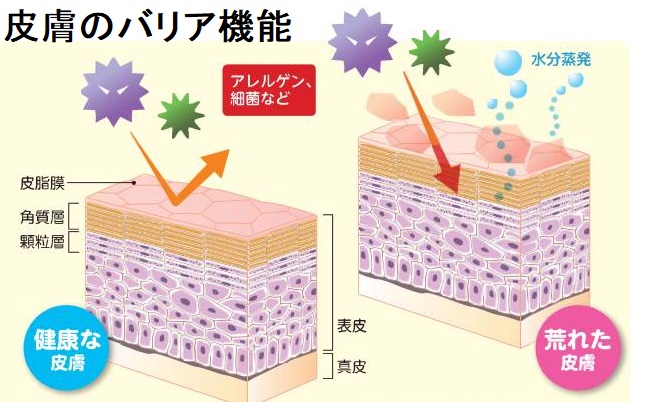 マスクトラブル、過度なアルコール消毒と甲状腺 マスクトラブル、過度なアルコール消毒と甲状腺