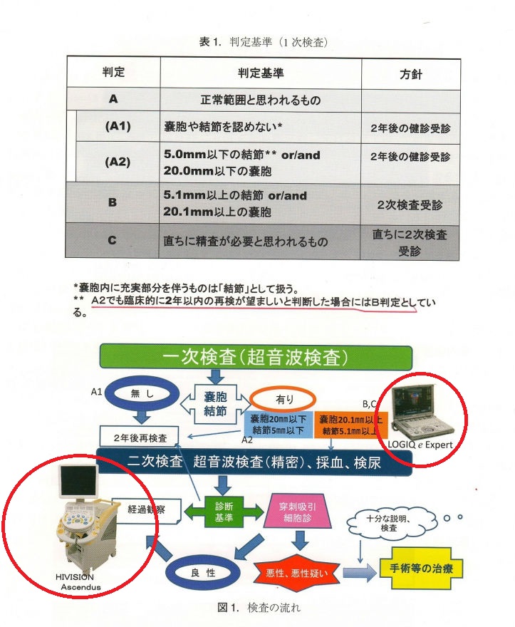 福島県の甲状腺検診 福島県の甲状腺検診