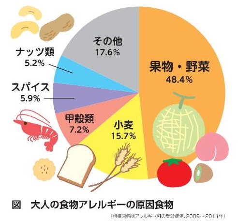 大人の食物アレルギーの原因 大人の食物アレルギーの原因