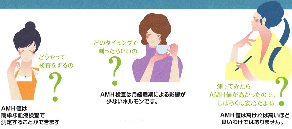 AMH(抗ミュラー管ホルモン、アンチミューラリアホルモン) AMH(抗ミュラー管ホルモン、アンチミューラリアホルモン)