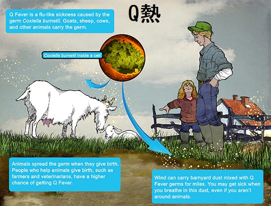Q熱 Q熱