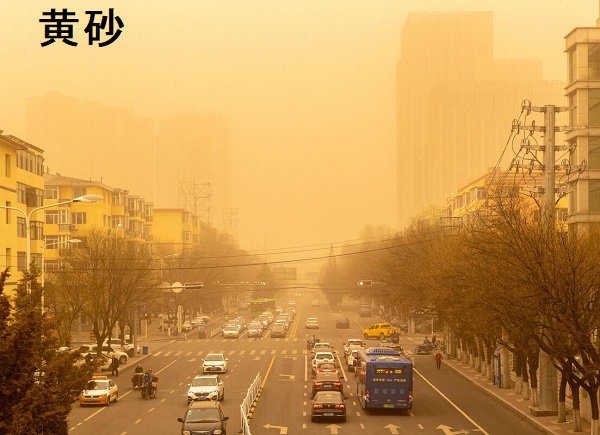 黄砂と甲状腺 黄砂と甲状腺