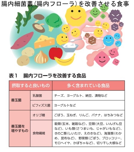 腸内細菌叢(腸内フローラ)を改善させる食事 腸内細菌叢(腸内フローラ)を改善させる食事