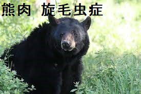 熊肉 旋毛虫症 熊肉 旋毛虫症