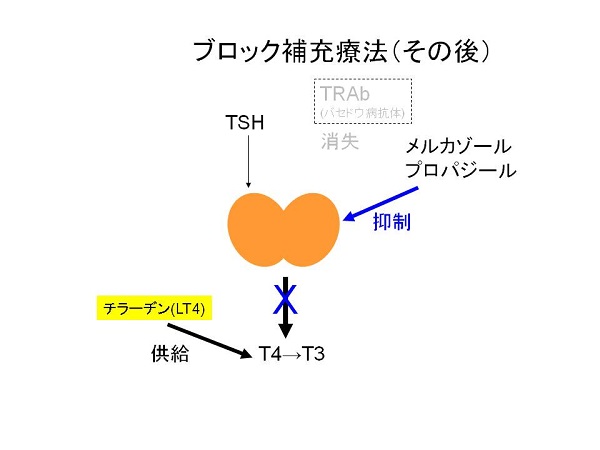 ブロック補充療法(その後) ブロック補充療法(その後)