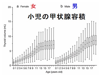 小児甲状腺容積 小児甲状腺容積