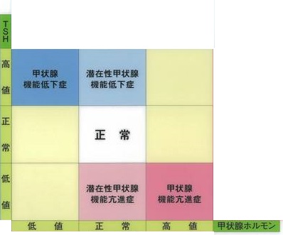 甲状腺疾患早見表 甲状腺疾患早見表