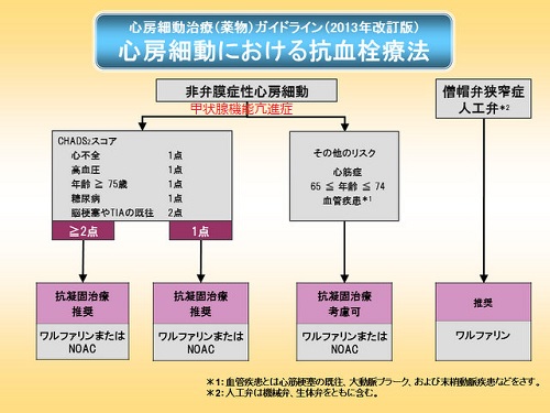 心房細動治療(薬物)ガイドライン(2013年改訂版)心房細動における抗血栓療法 心房細動治療(薬物)ガイドライン(2013年改訂版)心房細動における抗血栓療法