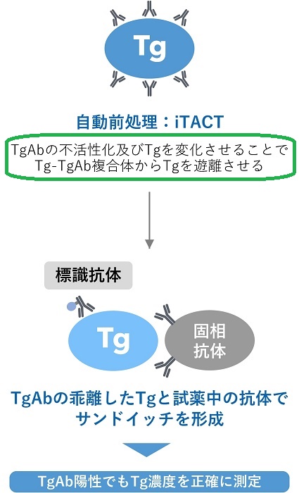 iTACT Tg iTACT Tg