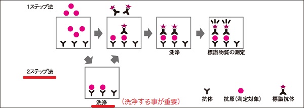2step測定法 2step測定法