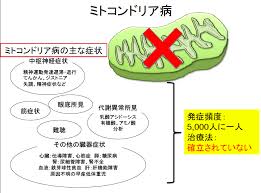 ミトコンドリア病 ミトコンドリア病