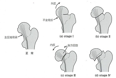 Garden分類 Garden分類