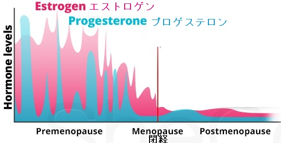 女性ホルモンの不均衡によるむくみ(浮腫) 女性ホルモンの不均衡によるむくみ(浮腫)