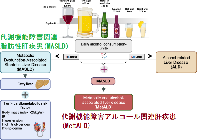代謝機能障害関連脂肪性肝疾患(MASLD) と代謝機能障害アルコール関連肝疾患(MetALD) 代謝機能障害関連脂肪性肝疾患(MASLD) と代謝機能障害アルコール関連肝疾患(MetALD)