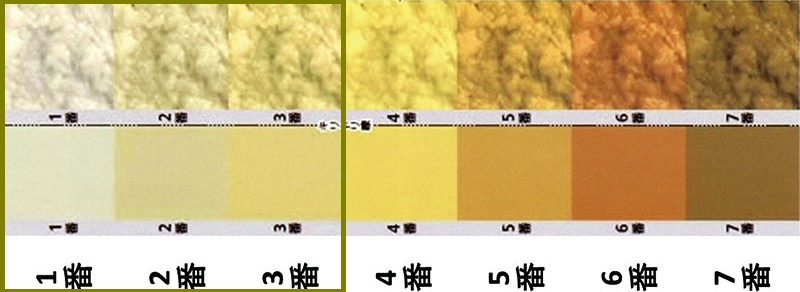 母子健康手帳の便色カード 母子健康手帳の便色カード