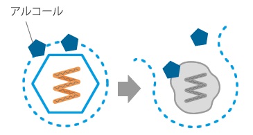 アルコール消毒はインフルエンザウイルスのエンベロープを破壊 アルコール消毒はインフルエンザウイルスのエンベロープを破壊