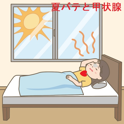 夏バテと甲状腺 夏バテと甲状腺