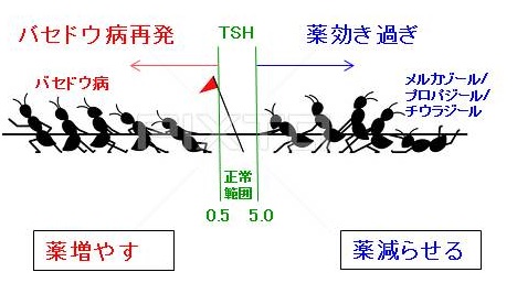 病 太る 橋本 太る病気を4つ紹介。甲状腺やホルモン異常が原因となる？