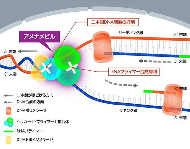 アメナリーフ錠®(アメナメビル) アメナリーフ錠®(アメナメビル)