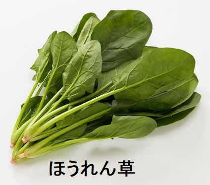ほうれん草 ほうれん草