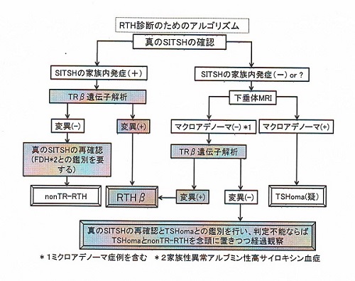 検査 甲状腺 ホルモン 血液