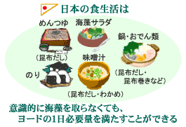 ヨードと甲状腺 甲状腺 専門医 橋本病 バセドウ病 甲状腺超音波エコー検査 長崎甲状腺クリニック大阪