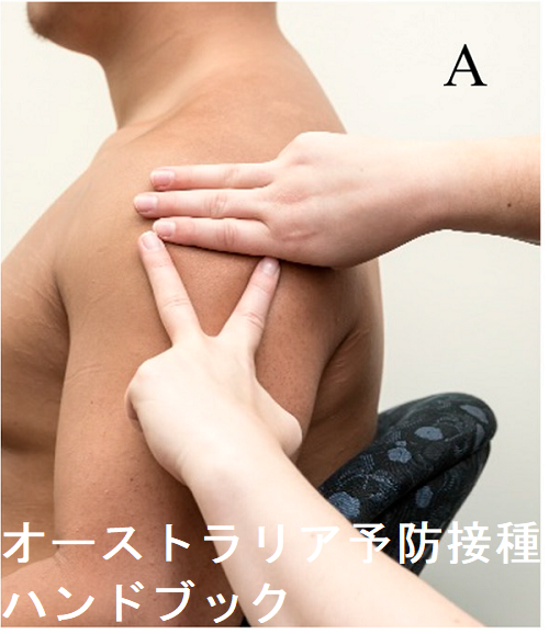 オーストラリア予防接種ハンドブック