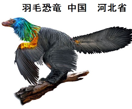 羽毛恐竜 中国　河北省　ヨウ素(ヨード)過剰摂取地域