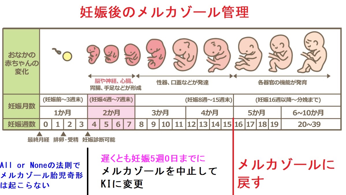 抗甲状腺薬メルカゾールによる胎児奇形 甲状腺 専門医 橋本病 バセドウ病 長崎甲状腺クリニック大阪