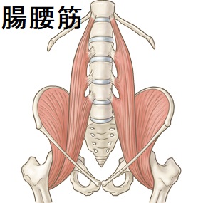 痛み 筋肉 痙攣 筋筋膜性疼痛症候群◆筋筋膜性疼痛症候群とは◆